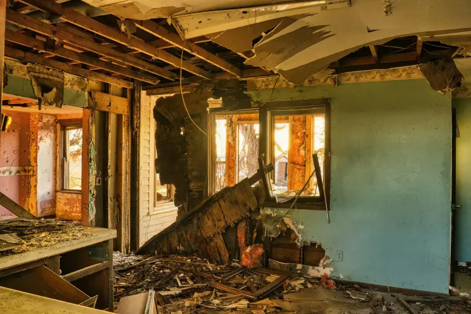 Drypeace Mold Removal: Your Leading Mold Removal Company in Reading — Reading, PA