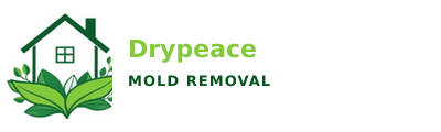 Drypeace Mold Removal